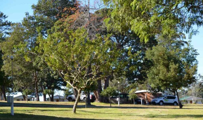 George Country Resort