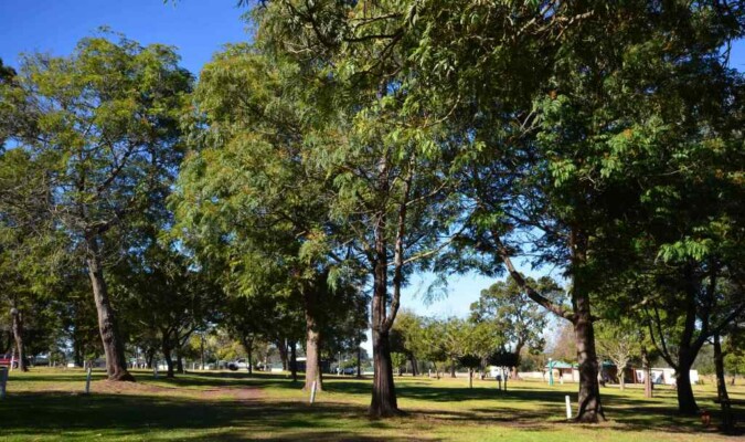 George Country Resort
