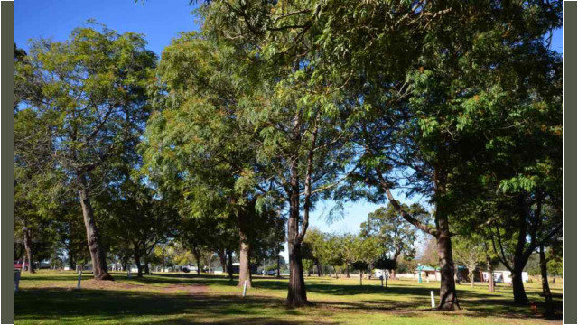George Country Resort George Country Resort