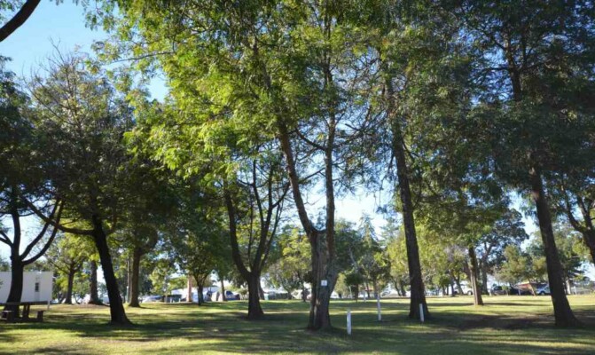 George Country Resort